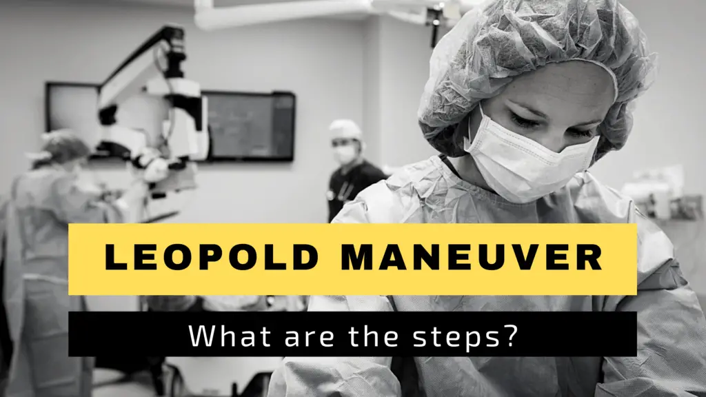 Leopold Maneuver steps