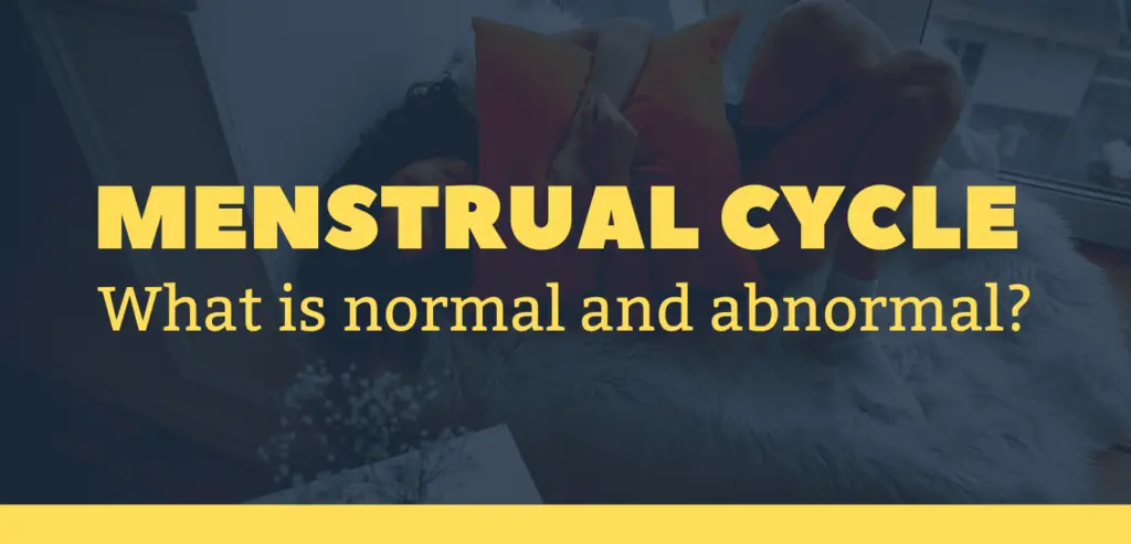 Menstrual cycle