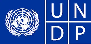 Data Analytics and Development Planning – Cohort 4 – United Nations Development Programme Vacancy Announcement