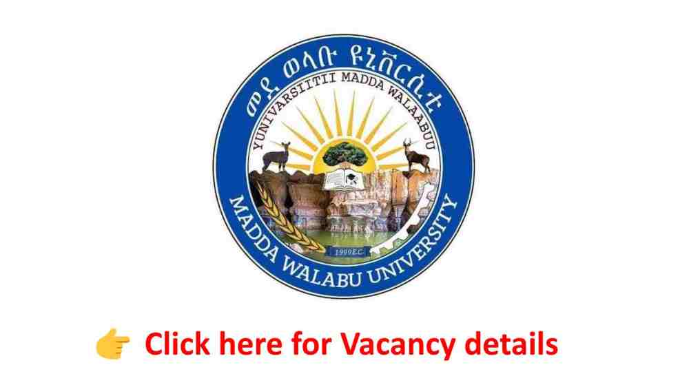Madda Walabu University Vacancy Announcement