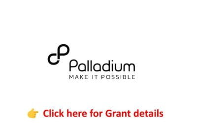 Grant by Palladium ;  (RFA) – Support for local organizations to strengthen their capacity to become future providers of organizational development services to other organizations working in or focusing on the health sector in Ethiopia