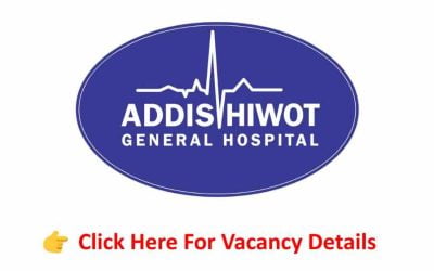 Quality Assurance Lead (General practitioner) – Addis Hiwot General Hospital Vacancy Announcement